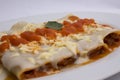 Canelones Italian Dish Bolognese style (caneloni). tomatoes sauce, bechamel, grounded beef meat, basil Royalty Free Stock Photo