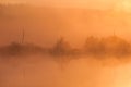 Canes on foreground on the lake coast. Sun is rising up over the trees on the further river bank