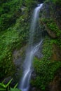 cangki water fall nagalend Royalty Free Stock Photo