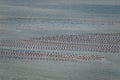 Oyster Farms, Xiaguan Village, Cangnan County, Wenzhou City, Zhejiang Province, China