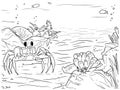 Crab in Aquarium â Marine Animal Line Art Illustration Royalty Free Stock Photo