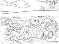 Red Crab and Hermit Crab on the Beach â Marine Coloring Page Royalty Free Stock Photo