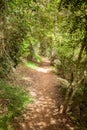 Cania Gorge Track Queensland Australia Royalty Free Stock Photo