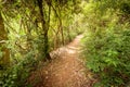 Cania Gorge Track Queensland Australia Royalty Free Stock Photo