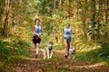 Canicross cross country running with dogs, mushers running with Siberian Husky and Dalmatian dog