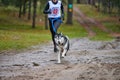 Canicross dog mushing race Royalty Free Stock Photo