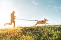 Canicross exercises. Man runs with his beagle dog. Outdoor sport activity with pet Royalty Free Stock Photo