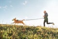 Canicross exercises. Man runs with his beagle dog. Outdoor sport activity with pet