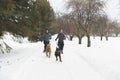 Canicross woman group Sled Dogs Pulling in winter season