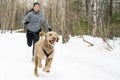 Canicross Sled Dogs Pulling the Young Womanin winter season