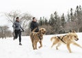 Canicross woman group Sled Dogs Pulling in winter season