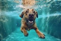 funny dog water puppy underwater vacation pool fun swimming snorkeling. Generative AI. Royalty Free Stock Photo