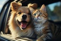 Canine feline road trip Dog and cat in car window bliss