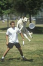 Canine Frisbee Contest,