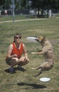 Canine Frisbee Contest