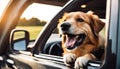Canine Joyride: Happy Dog with Head Out of the Car Window, Fur Flying in the Breeze Royalty Free Stock Photo