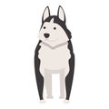 Canine pet icon cartoon vector. Siberian dog