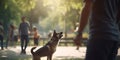 Canine Playtime: Dog and owner chasing ball in the park