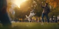 Canine Playtime: Dog and owner chasing ball in the park