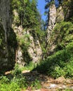 Canionul Sapte Scari(Seven Ladders Canyon), Piatra Mare Mountains, Timisu de Jos, Brasov, Romania