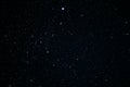 Canis Major constellation