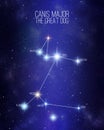 Canis Major the great dog constellation on a starry space background Royalty Free Stock Photo