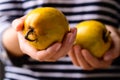 Canistel fruit or Eggfruit holding by woman hand Royalty Free Stock Photo