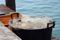 Canister with fishing net Royalty Free Stock Photo