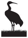 Profile view silhouette of a crane standing in marshy grass