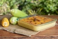 Canjica. Curau. Typical Brazilian junina party sweets. Corn cobs. Blurred green background. Brazilian dessert