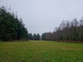 Cann Woods On the Edge of Plymouth and Dartmoor Devon uk