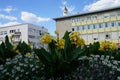 Canna indica blooms with yellow flowers in a flower bed in August. Berlin, Germany Royalty Free Stock Photo