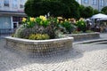 Canna indica blooms with yellow flowers in a flower bed in August. Berlin, Germany Royalty Free Stock Photo