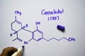 Cannabidiol CBD molecule written on the white board. Structural chemical formula. Education concept