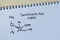 Cannabidiolic Acid (CBDA) molecule written on the book. Structural chemical formula. Education concept