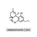 Cannabidivarin CBDV . Plants with relatively high levels of CBDV Royalty Free Stock Photo