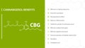 Cannabigerol Benefits, green and white poster with benefits with icons and cannabigerol chemical formula Royalty Free Stock Photo