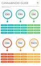 Cannabinoid Guide vertical business infographic