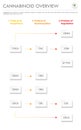 Cannabinoid Overview vertical business infographic Complete