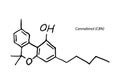 Cannabinol Molecule Formula Hand Drawn Imitation Icon Royalty Free Stock Photo
