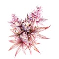 Cannabis Branch Sativa Watercolor Illustration. Medical Marijuana. Plant Of Love In Pink Colors. Botanical Illustration