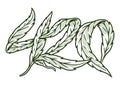 Cannabis 420 detailed sticker monochrome