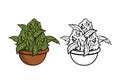 Cannabis Flower Illustration