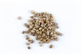 Cannabis hemp seeds pile close up macro shot isolated