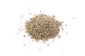 Cannabis hemp seeds pile close up macro shot isolated