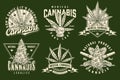 Cannabis industry monochrome set sticker