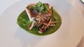 Crispy Skin Halibut, Purple Asparagus, Pickled Radish & an Infused Mint Pea Nage with Beta-Pinene Royalty Free Stock Photo