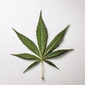 1 cannabis leaf on a white background Royalty Free Stock Photo