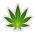 Cannabis marijuana leaf sticker blank illustration realism isolate.