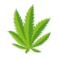 cannabis plant leafs nature icon Royalty Free Stock Photo